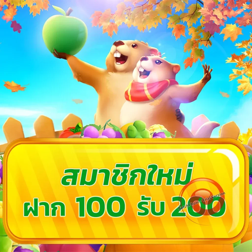 k9-win ครบทุกค่าย